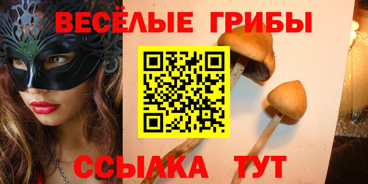 Галлюциногенные грибы ЛСД Удомля