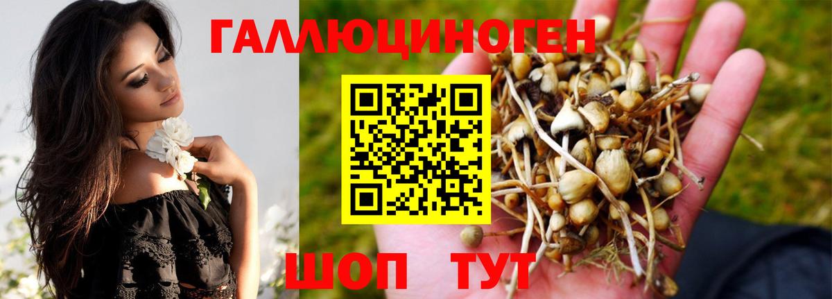 Удомля  Псилоцибиновые грибы MAGIC MUSHROOMS  Вход с VPN 